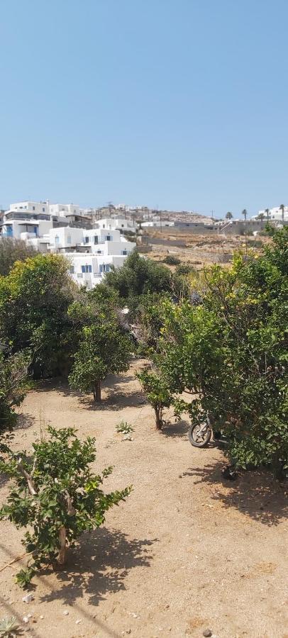 Demis Mykonos Stay 2 Πλατύς Γιαλός Εξωτερικό φωτογραφία